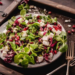 240_F_244929574_Ot9BtdIs08YzSo0jfX0sASo1VxGj6SPL