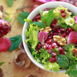 240_F_98238875_faX6SmdJmhknZr5g1h2ATNPPZ3rCYV33